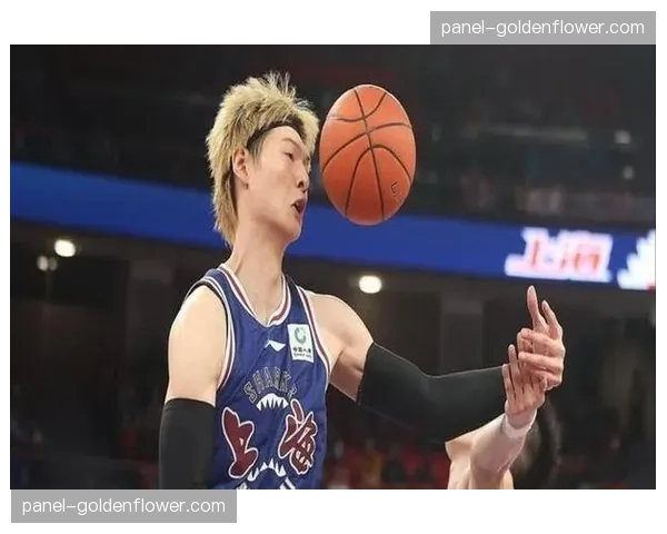 王哲林加练罚球线策应长传,为上海队提速做准备 王哲林加练罚球线策应长传,为上海队提速做准备